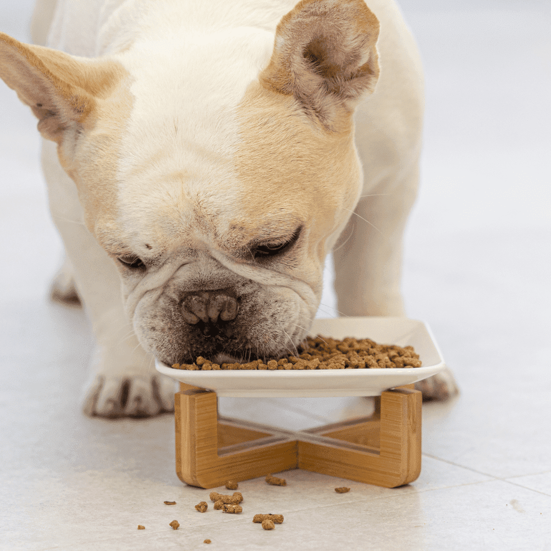 kopta(コプタ)ザ・プレミアムドッグフード