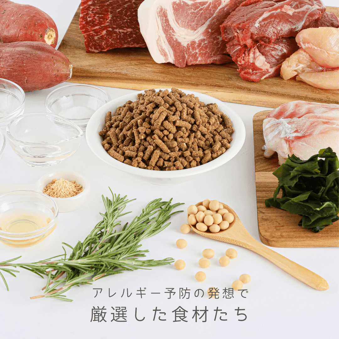 kopta(コプタ)ザ・プレミアムドッグフード